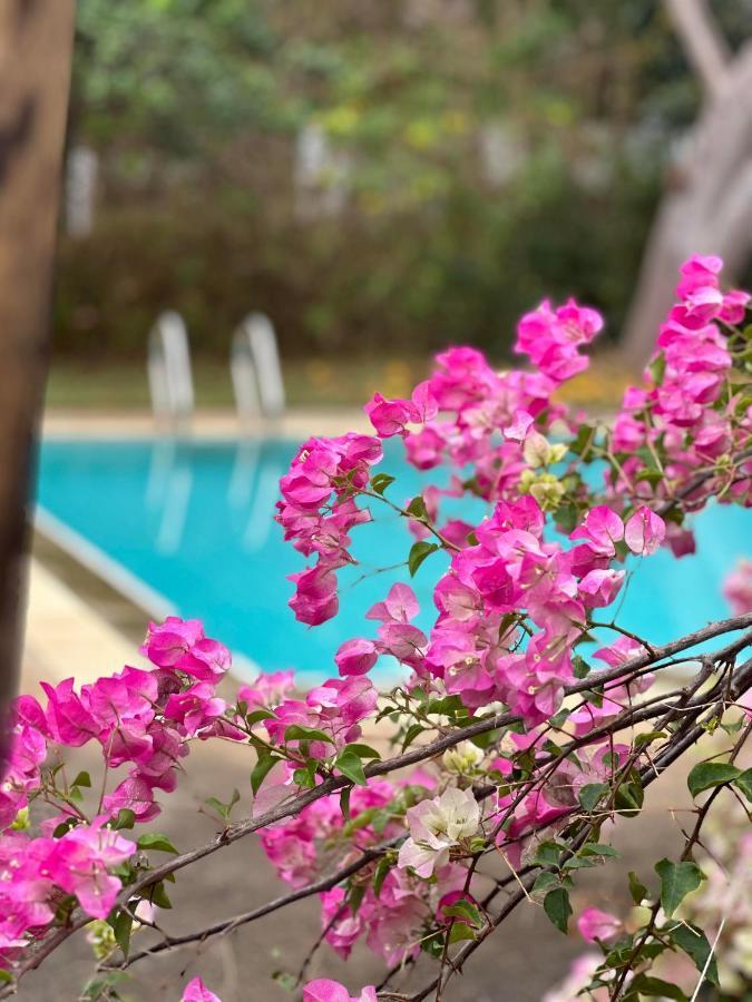Resort Hoshihana Chiang Mai Esterno foto